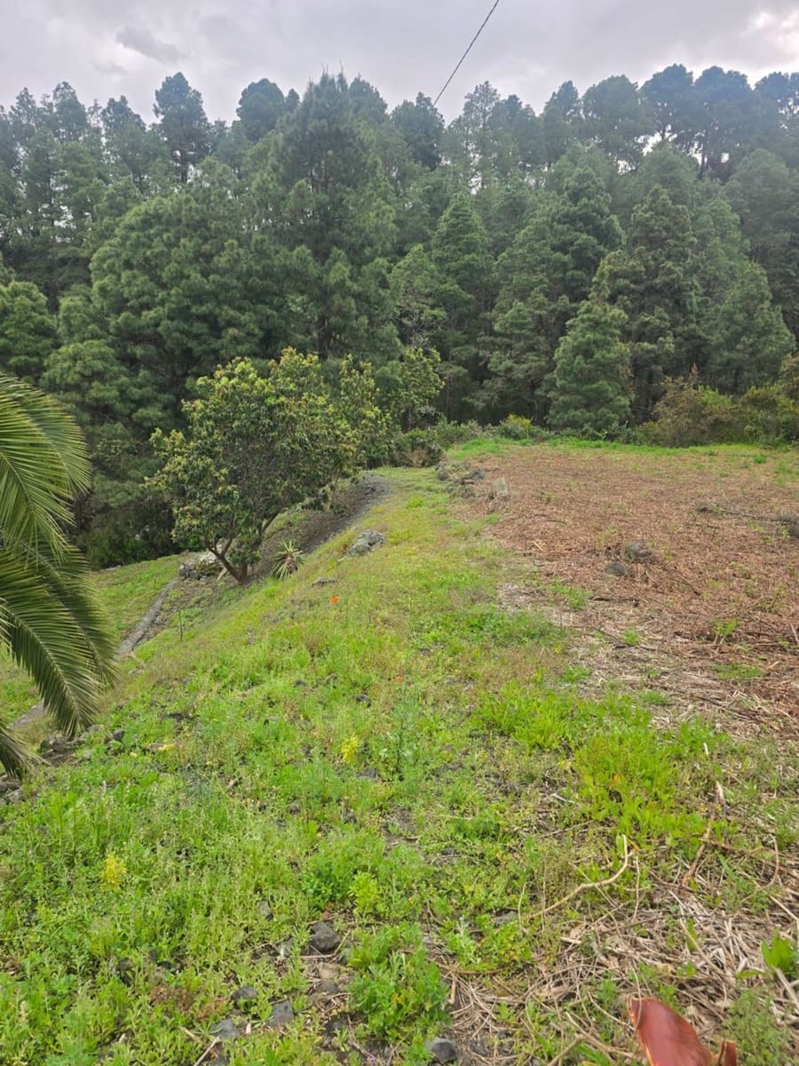 Ubebygd land til salgs i Santa Cruz de Tenerife - € 55 000 (Ref: 10021290)