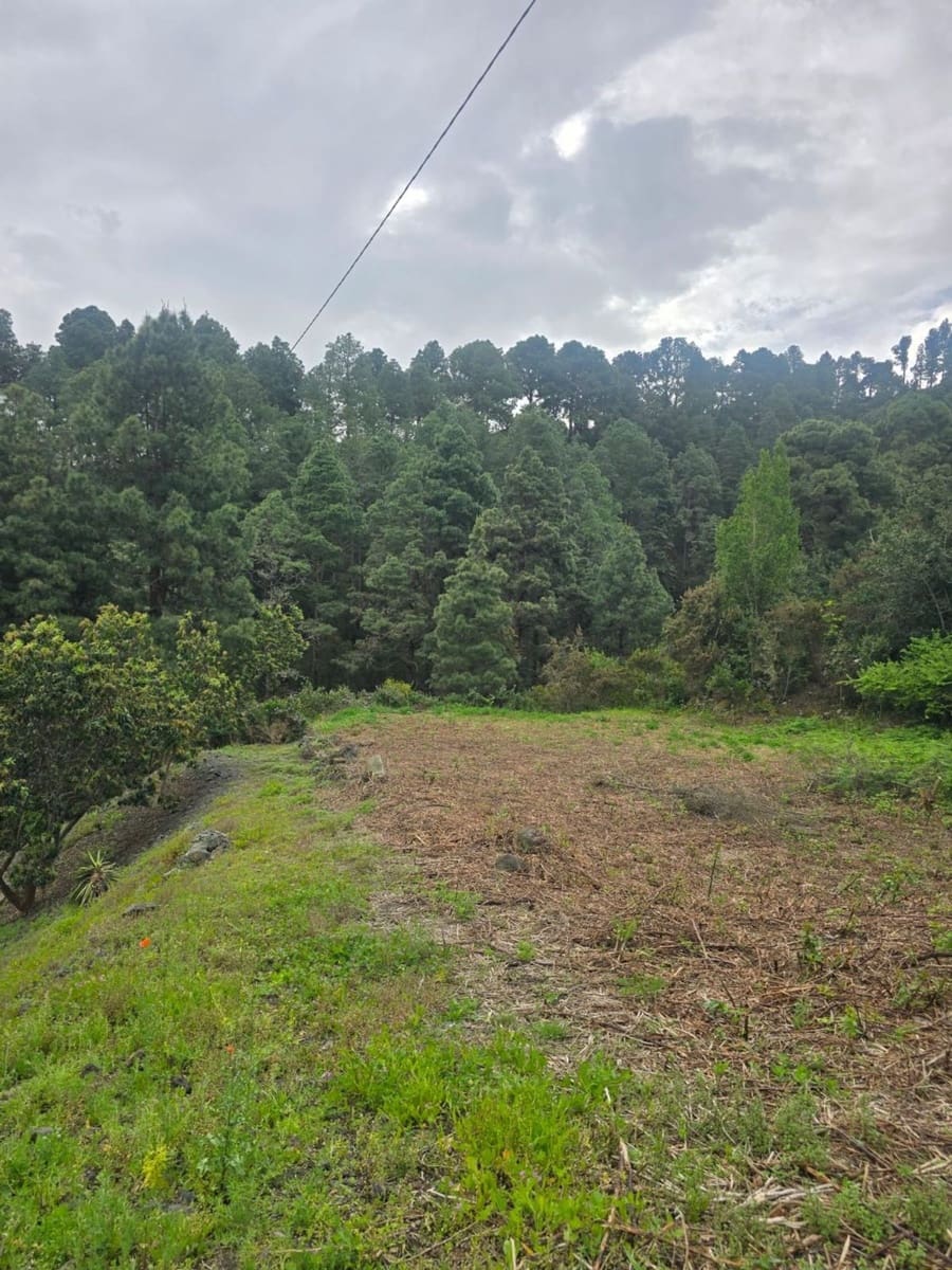 Ubebygd land til salgs i Santa Cruz de Tenerife - € 55 000 (Ref: 10021290)