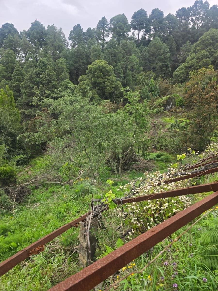 Ubebygd land til salgs i Santa Cruz de Tenerife - € 55 000 (Ref: 10021290)