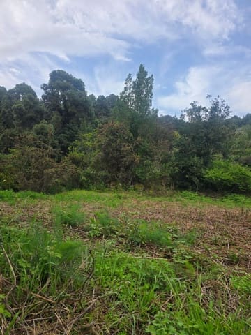 Ubebygd land til salgs i Santa Cruz de Tenerife - € 55 000 (Ref: 10021290)