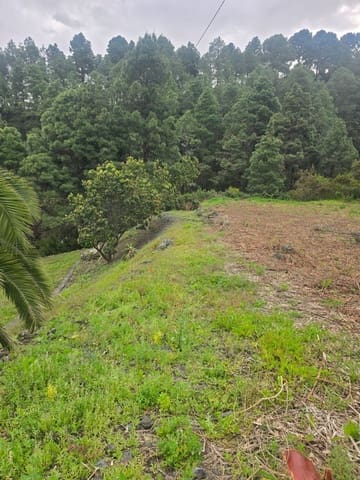 Ubebygd land til salgs i Santa Cruz de Tenerife - € 55 000 (Ref: 10021290)