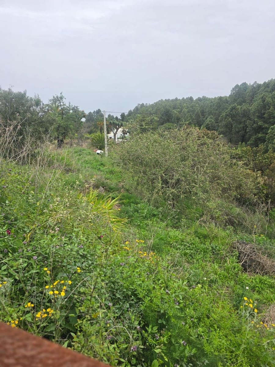 Ubebygd land til salgs i Santa Cruz de Tenerife - € 55 000 (Ref: 10021290)