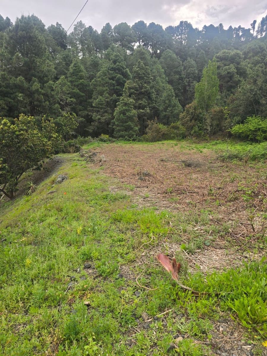 Ubebygd land til salgs i Santa Cruz de Tenerife - € 55 000 (Ref: 10021290)