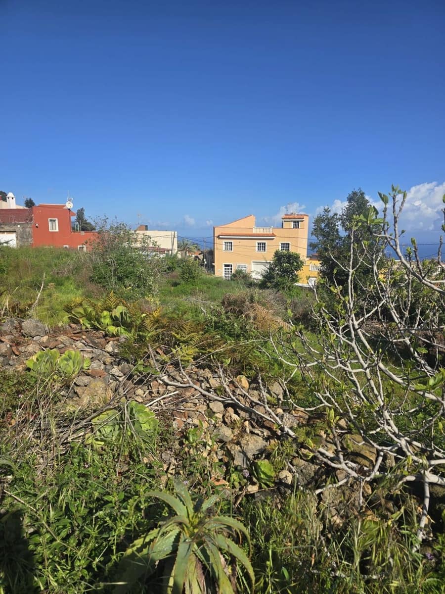 Terreno Não Urbanizado para venda em La Guancha - 65 000 € (Ref: 10021293)