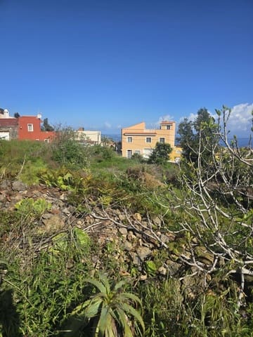 Terreno Não Urbanizado para venda em La Guancha - 65 000 € (Ref: 10021293)
