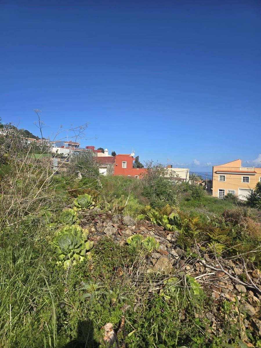 Terreno Não Urbanizado para venda em La Guancha - 65 000 € (Ref: 10021293)