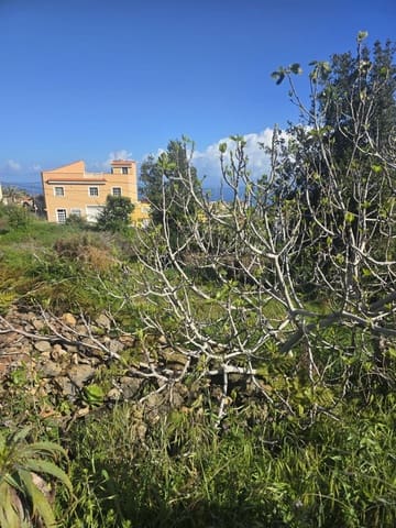 Terreno Não Urbanizado para venda em La Guancha - 65 000 € (Ref: 10021293)