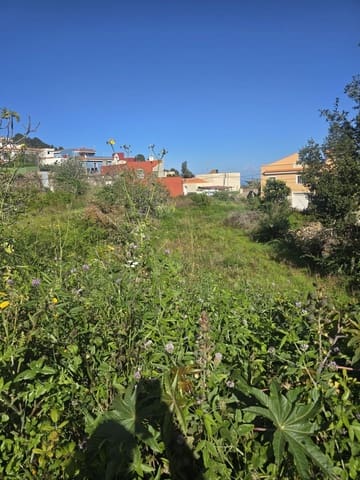 Terreno Não Urbanizado para venda em La Guancha - 65 000 € (Ref: 10021293)