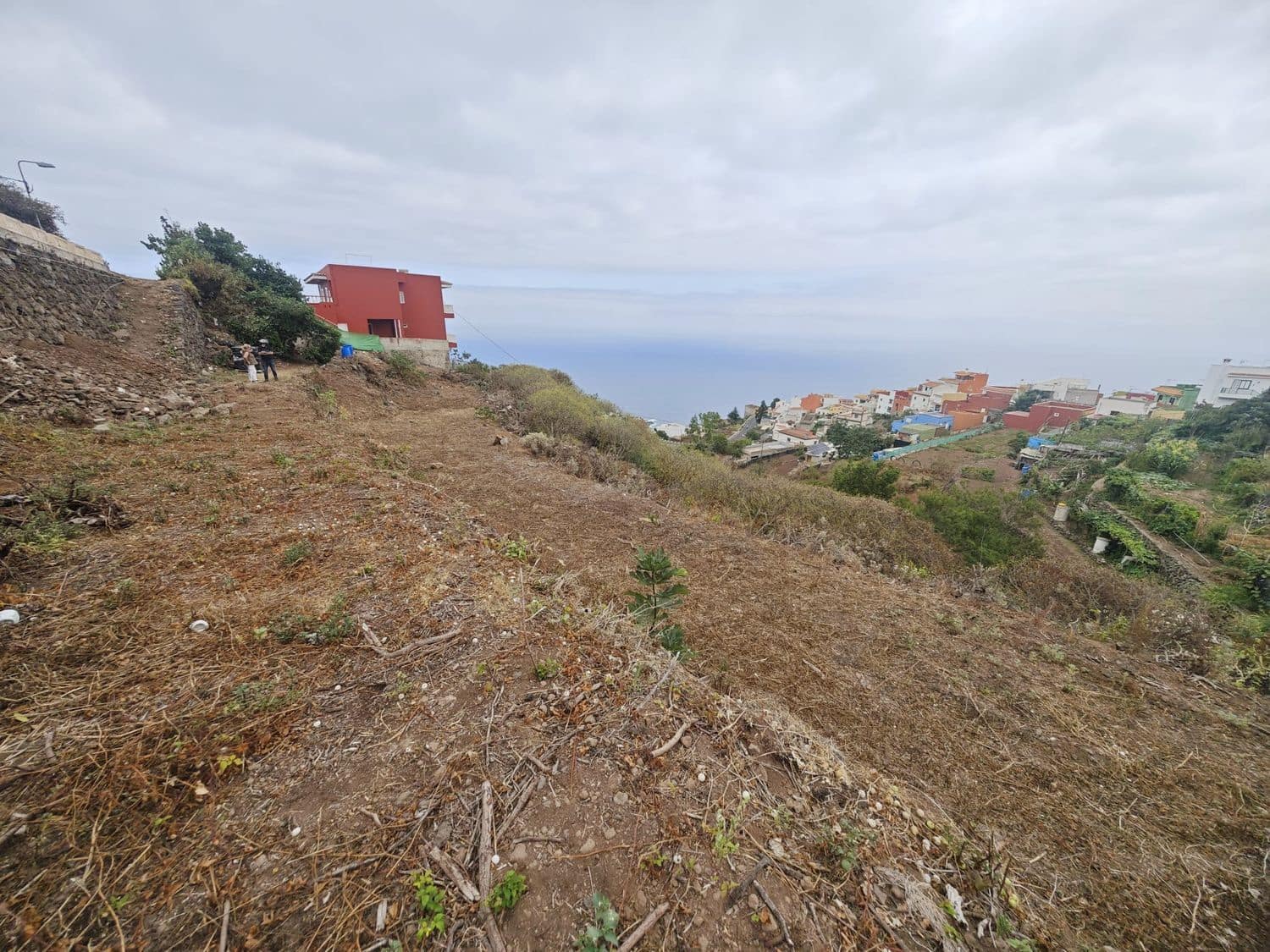 Mark till salu i Icod de los Vinos - 17 000 € (Ref: 10021294)