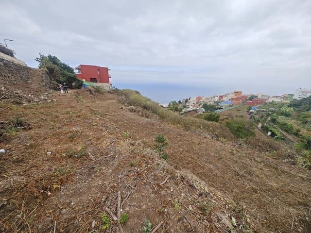 Mark till salu i Icod de los Vinos - 17 000 € (Ref: 10021294)