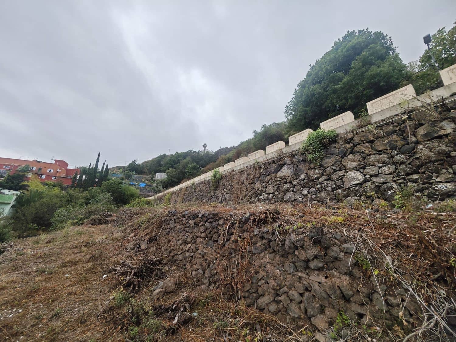 Mark till salu i Icod de los Vinos - 17 000 € (Ref: 10021294)