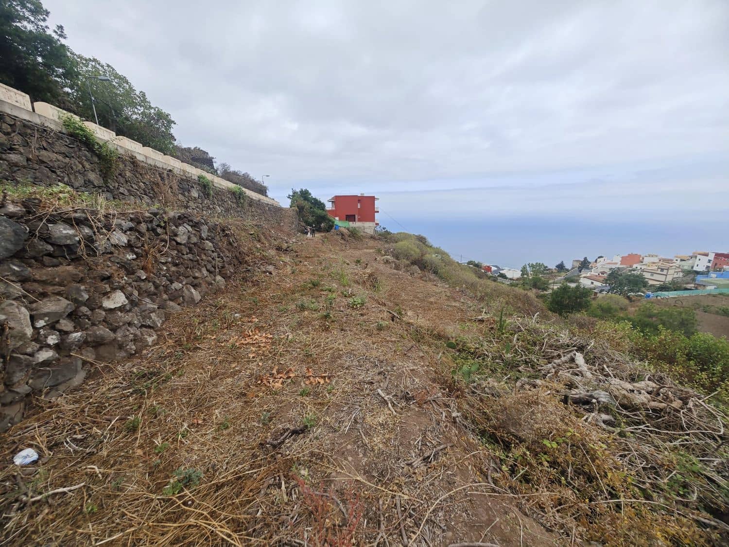 Mark till salu i Icod de los Vinos - 17 000 € (Ref: 10021294)