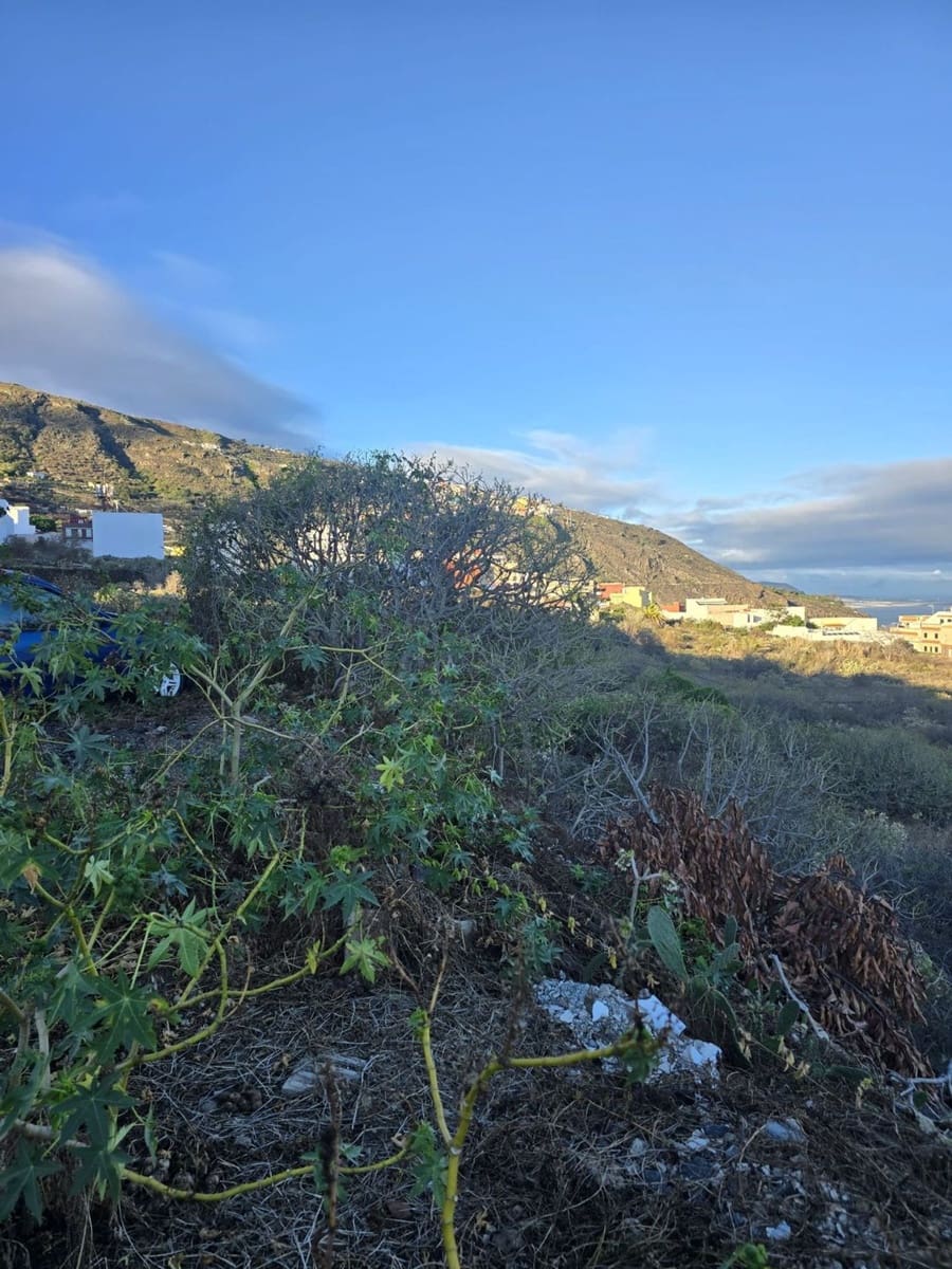 Mark till salu i Icod de los Vinos - 325 000 € (Ref: 10021298)