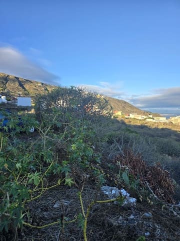 Mark till salu i Icod de los Vinos - 325 000 € (Ref: 10021298)