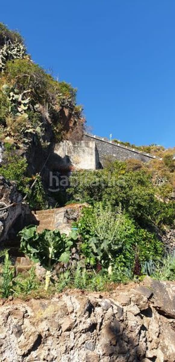 Mark till salu i Icod de los Vinos - 40 000 € (Ref: 10099472)
