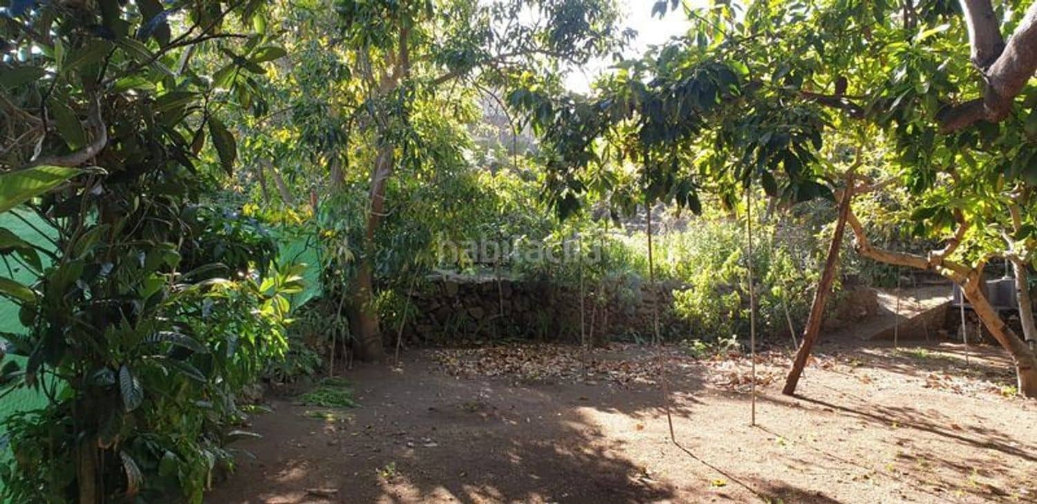 Mark till salu i Icod de los Vinos - 40 000 € (Ref: 10099472)