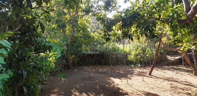 Mark till salu i Icod de los Vinos - 40 000 € (Ref: 10099472)