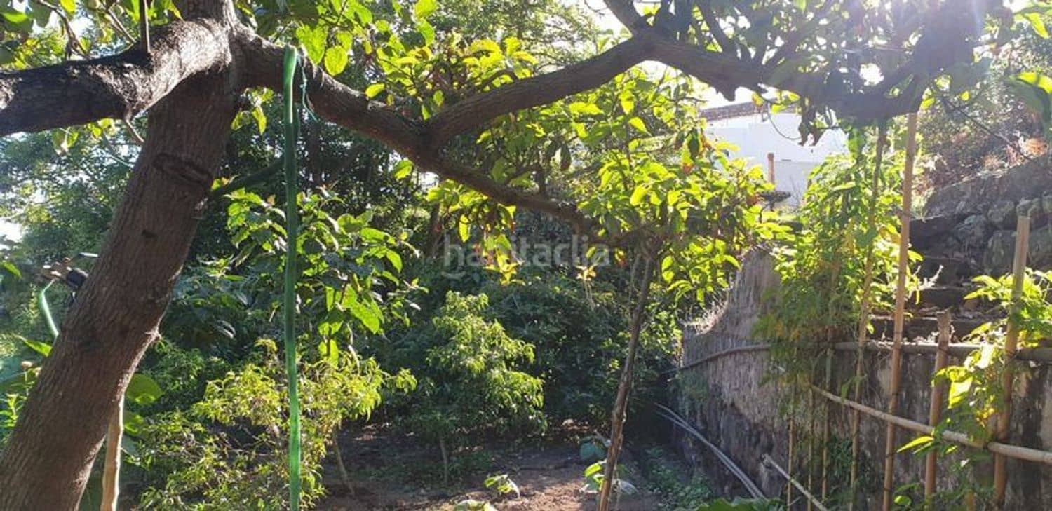 Mark till salu i Icod de los Vinos - 40 000 € (Ref: 10099472)