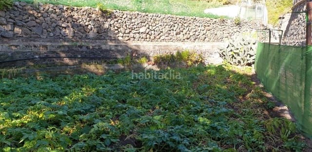 Mark till salu i Icod de los Vinos - 40 000 € (Ref: 10099472)