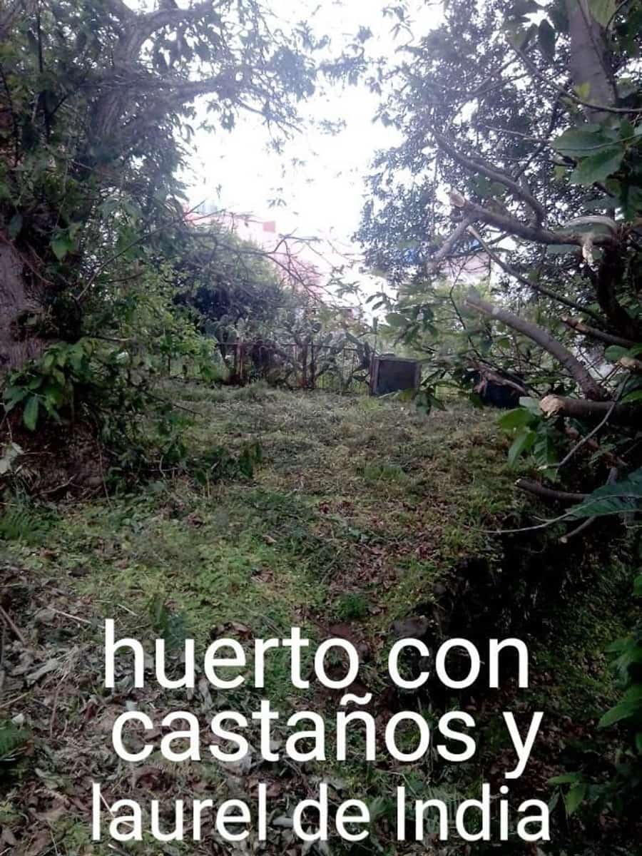 Terreno/Finca Rústica en Los Realejos en venta - 85.000 € (Ref: 10127641)