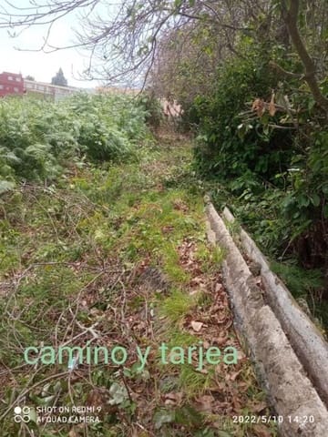 Terreno/Finca Rústica en Los Realejos en venta - 85.000 € (Ref: 10127641)