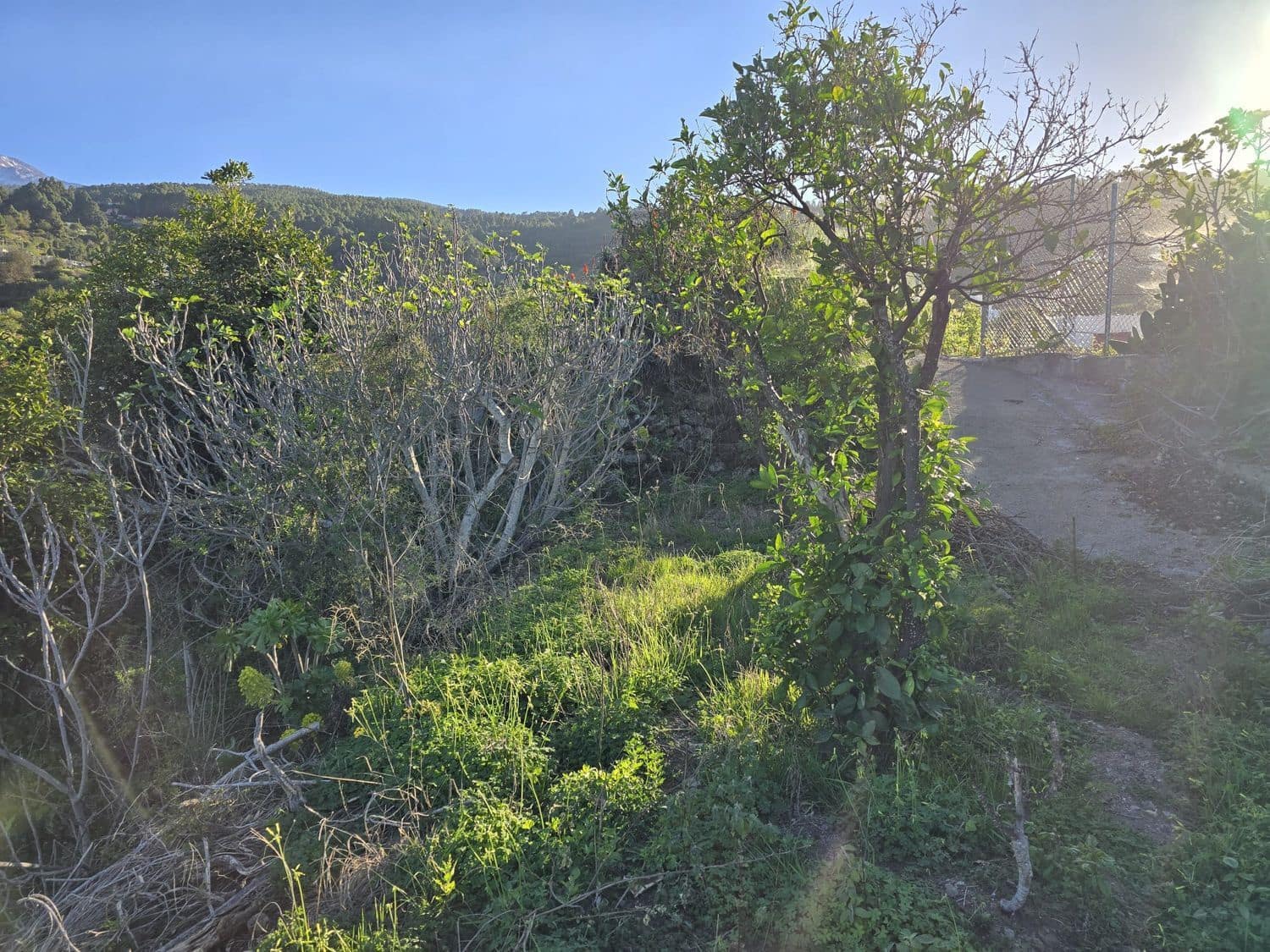 2 sypialnia Dom na sprzedaż w Icod de los Vinos z garażem - 275 000 € (Ref: 8741050)