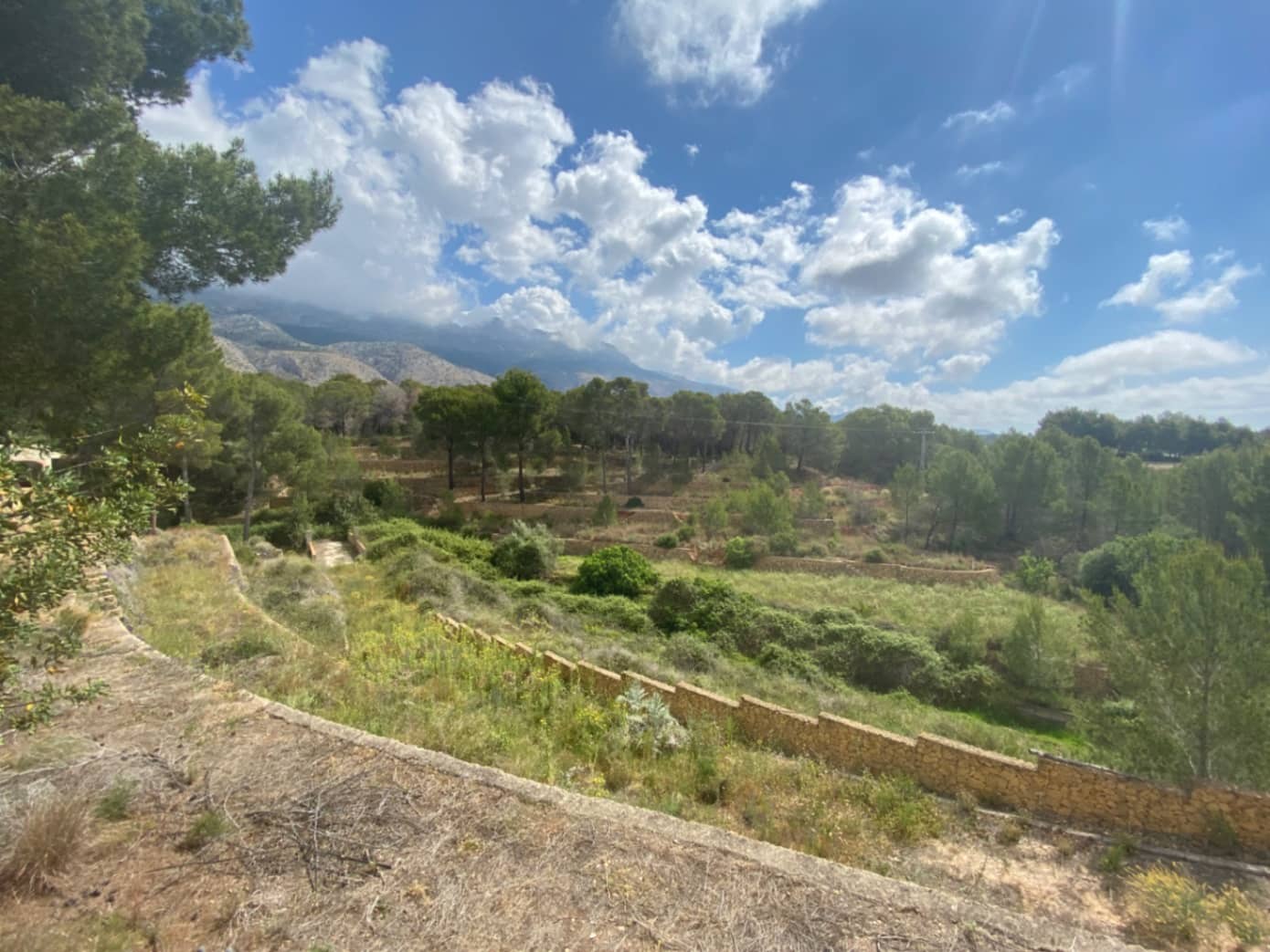 3 slaapkamer Finca/Landhuis te koop in Altea met zwembad garage - € 2.500.000 (Ref: 9030015)