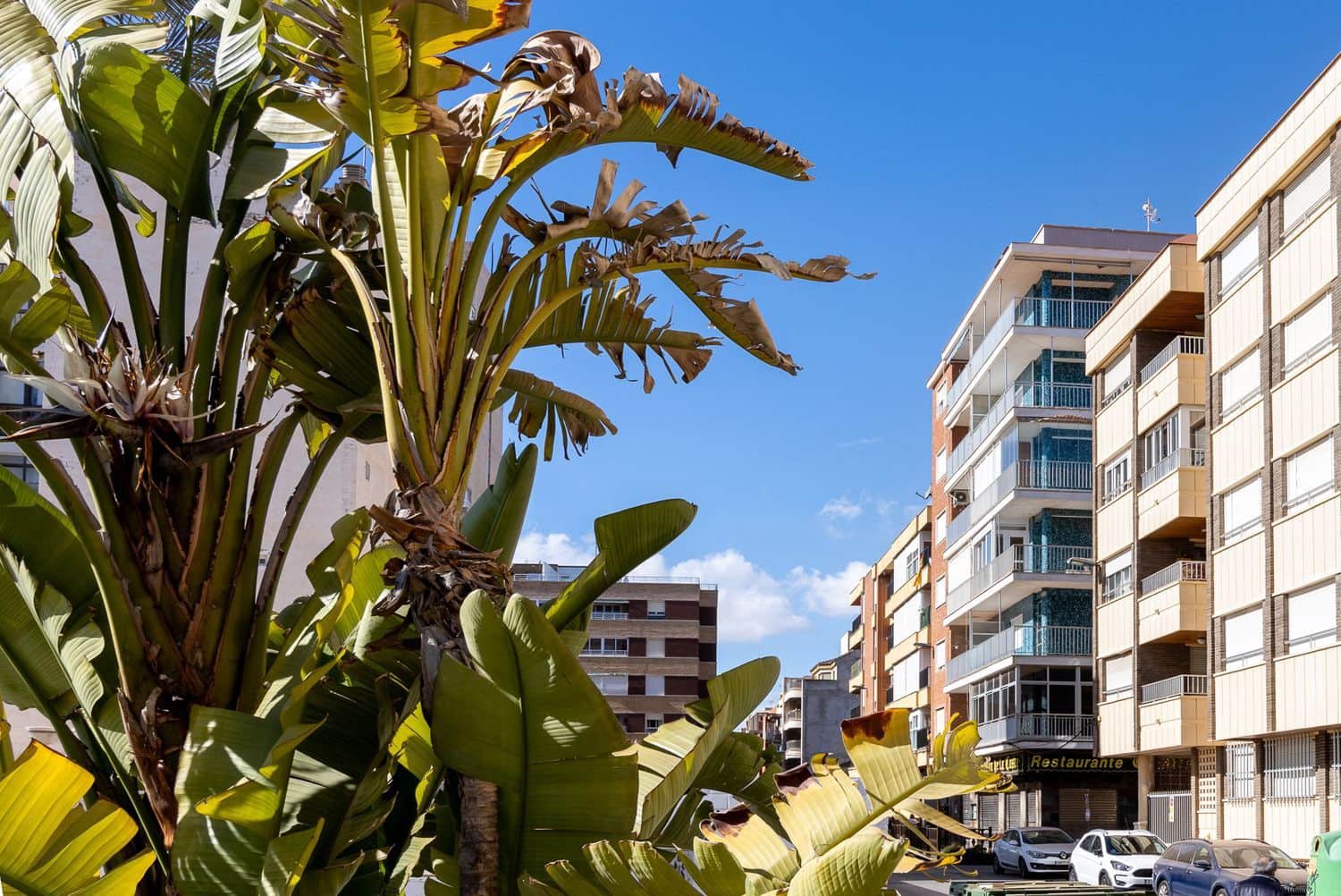 Apartamento de 3 habitaciones en Torrevieja en venta con garaje - 260.000 € (Ref: 10074722)