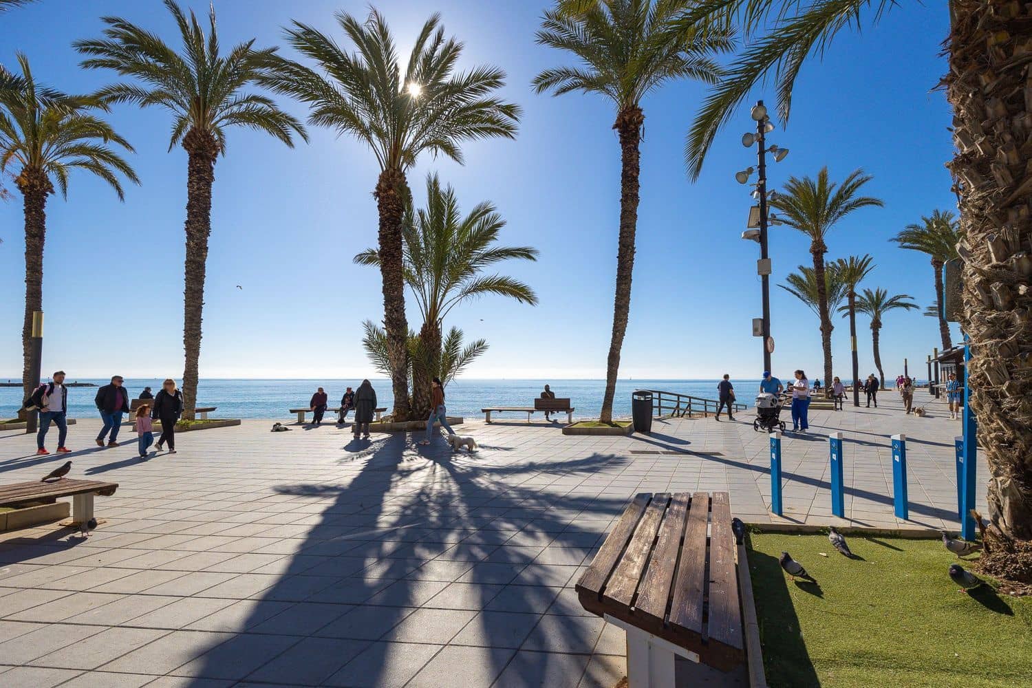2 Zimmer Apartment zu verkaufen in Torrevieja mit Garage - 185.000 € (Ref: 10099484)