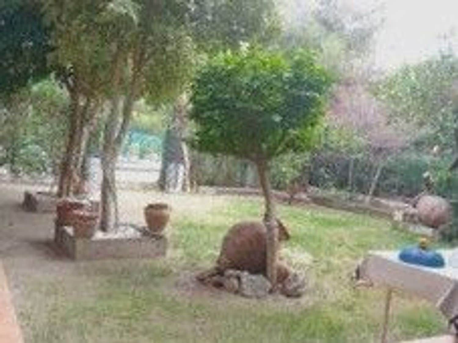 4 soverom Villa til salgs i El Campello med svømmebasseng garasje - € 840 000 (Ref: 8925471)