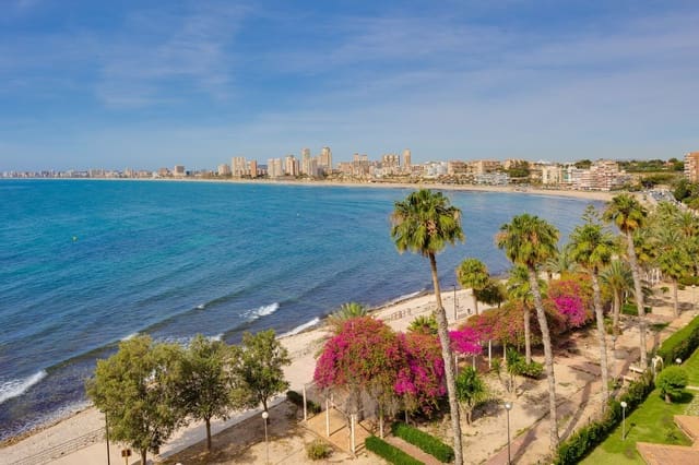 3 sypialnia Apartament na sprzedaż w Playa de Muchavista, El Campello z basenem garażem - 390 000 € (Ref: 9030839)