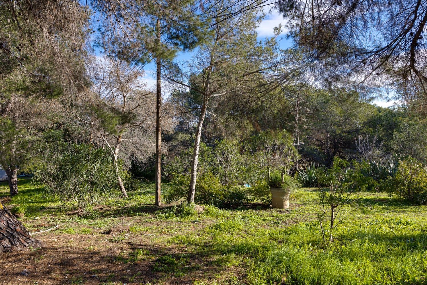 Casa de 2 habitaciones en Torrevieja en venta con garaje - 173.000 € (Ref: 9536645)