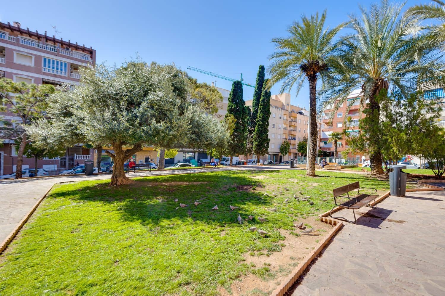 1 Zimmer Apartment zu verkaufen in Torrevieja mit Pool Garage - 122.000 € (Ref: 9735023)