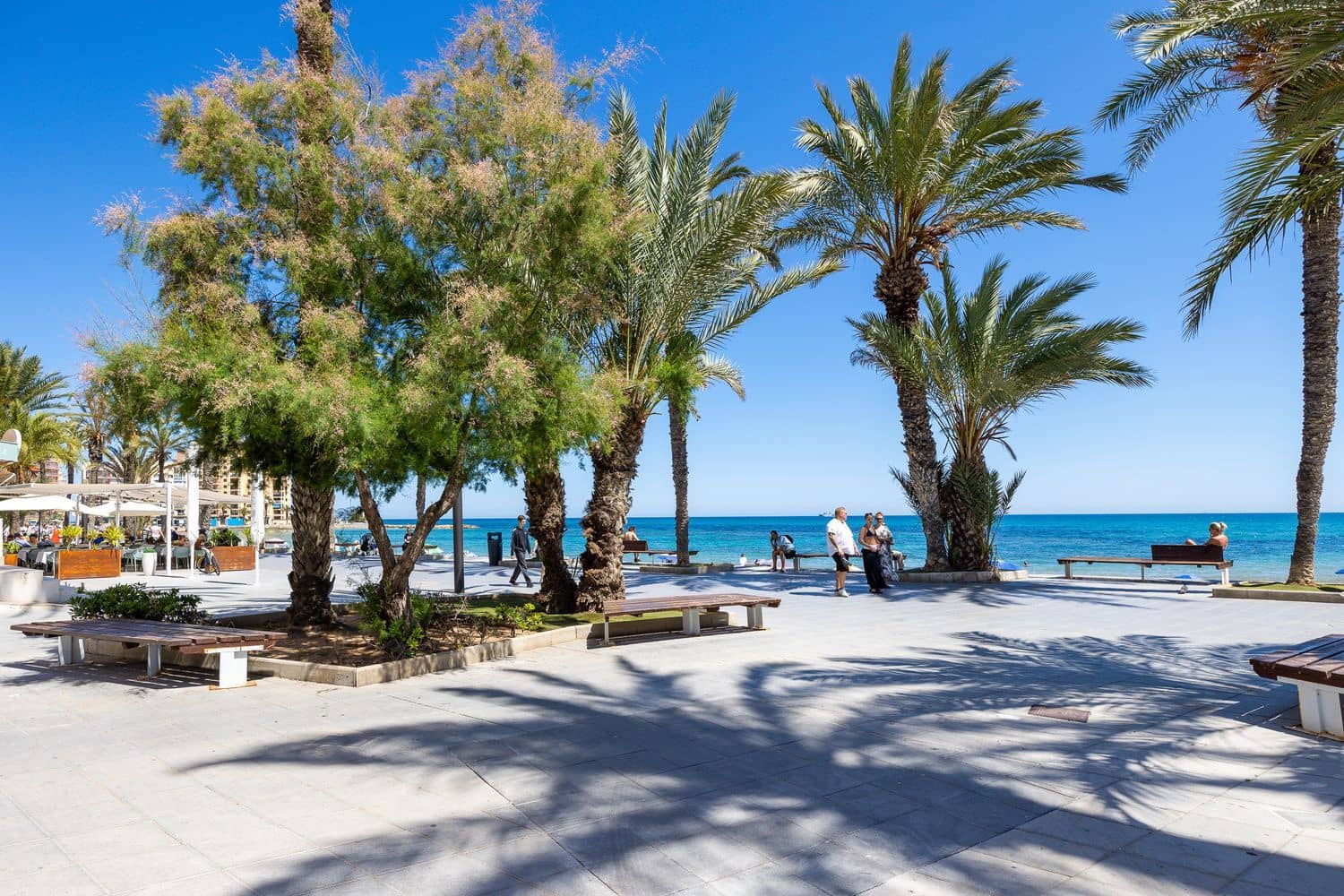 3 quarto Apartamento para venda em Torrevieja com garagem - 298 000 € (Ref: 9751446)