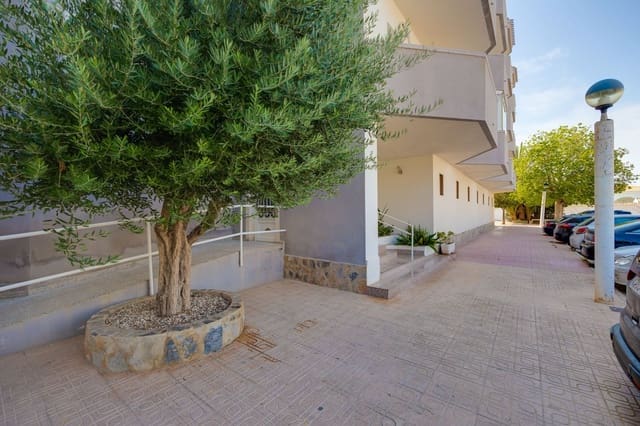1 chambre Appartement à vendre à La Regia, Orihuela avec garage - 114 000 € (Ref: 9751447)