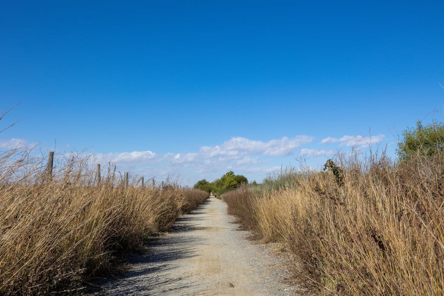 1 quarto Casa em Banda para venda em Torrevieja com garagem - 115 000 € (Ref: 9803868)