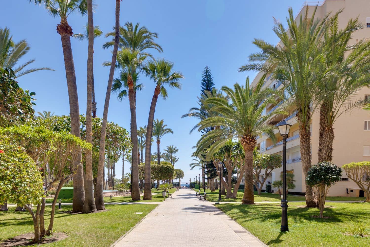 1 bedroom Apartment for sale in Torrevieja with pool garage - € 184,000 (Ref: 9919326)