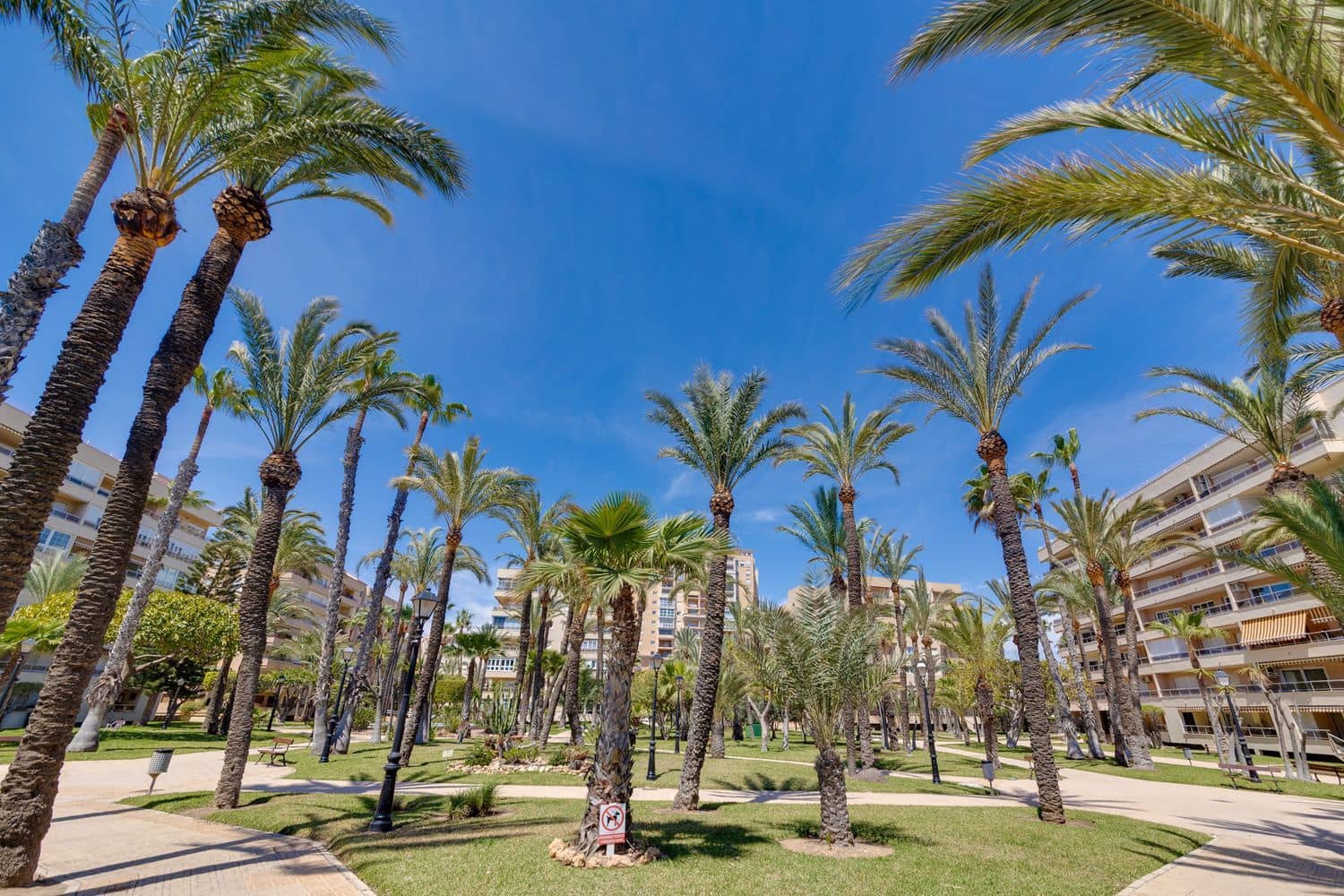1 bedroom Apartment for sale in Torrevieja with pool garage - € 184,000 (Ref: 9919326)