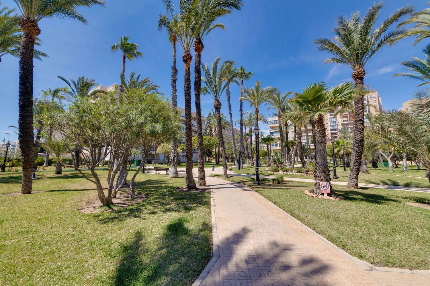 1 bedroom Apartment for sale in Torrevieja with pool garage - € 184,000 (Ref: 9919326)