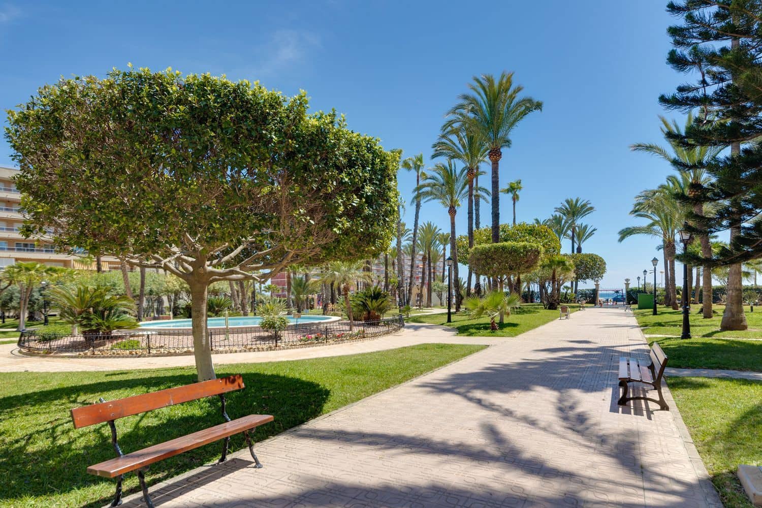 1 bedroom Apartment for sale in Torrevieja with pool garage - € 184,000 (Ref: 9919326)