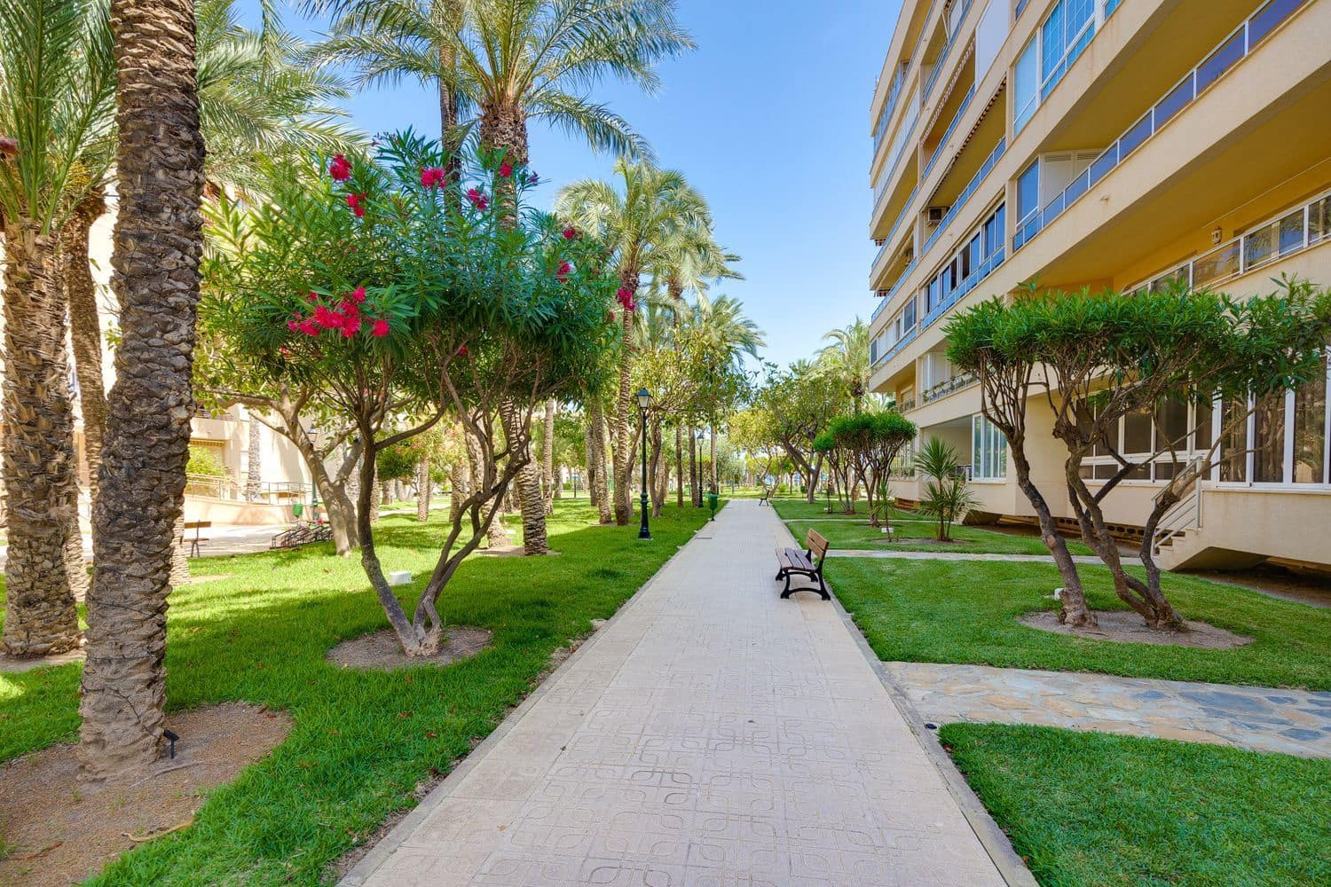 1 Zimmer Apartment zu verkaufen in Torrevieja mit Pool Garage - 171.000 € (Ref: 9921672)