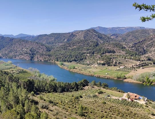 5 bedroom Guesthouse/B & B for sale in Benifallet with pool garage - € 680,000 (Ref: 9523278)