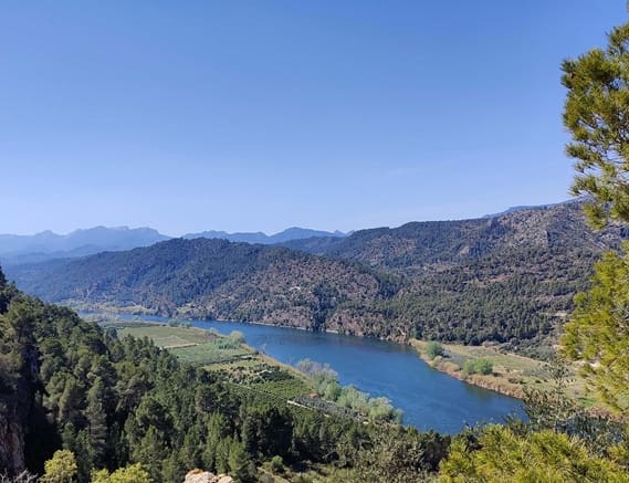 5 bedroom Guesthouse/B & B for sale in Benifallet with pool garage - € 680,000 (Ref: 9523278)