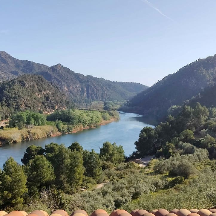 5 bedroom Guesthouse/B & B for sale in Benifallet with pool garage - € 680,000 (Ref: 9523278)