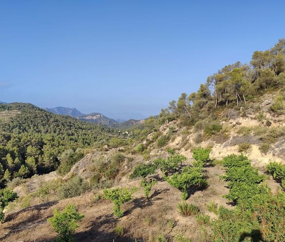 Finca/Landehus til salg i Rasquera - € 34.000 (Ref: 9524702)