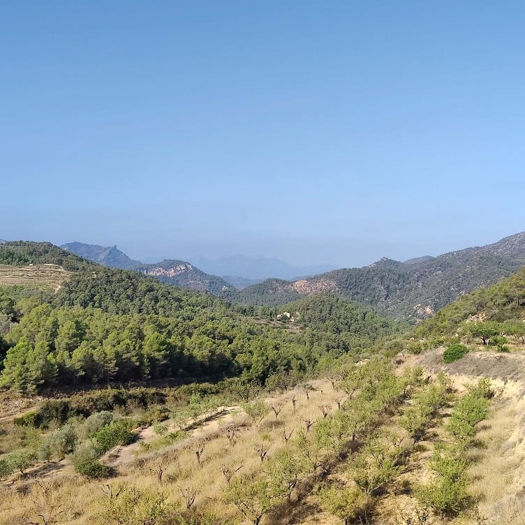 Finca/Landehus til salg i Rasquera - € 34.000 (Ref: 9524702)