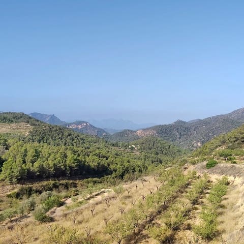 Finca/Landehus til salg i Rasquera - € 34.000 (Ref: 9524702)