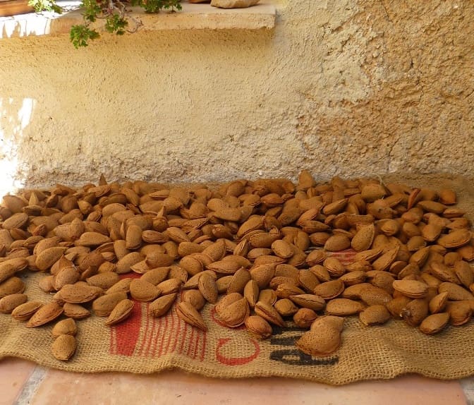 Finca/Landehus til salg i Rasquera - € 34.000 (Ref: 9524702)