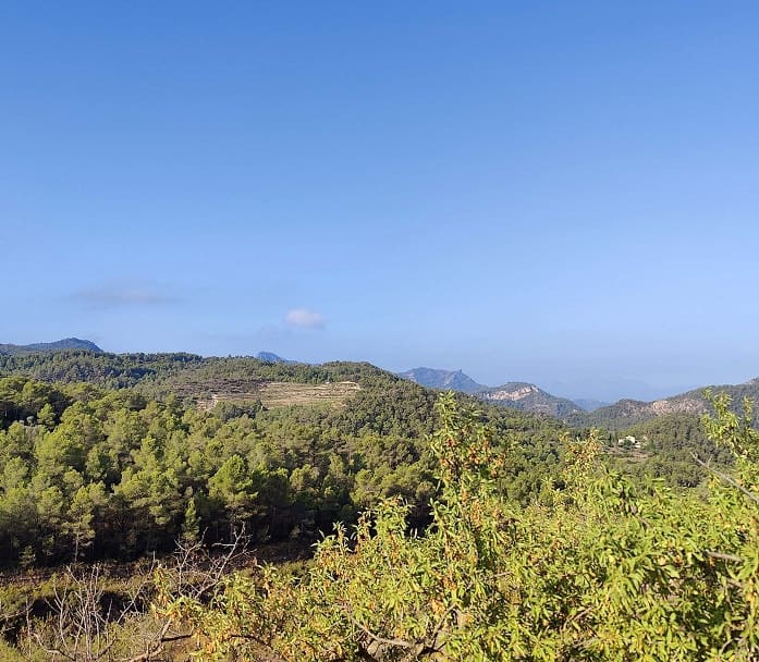 Finca/Landehus til salg i Rasquera - € 34.000 (Ref: 9524702)