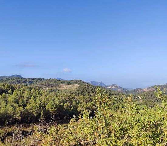 Finca/Landehus til salg i Rasquera - € 34.000 (Ref: 9524702)